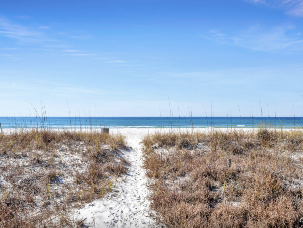 Luxury Panama City Beach House 6 Bedrooms Sleeps 20 Guests